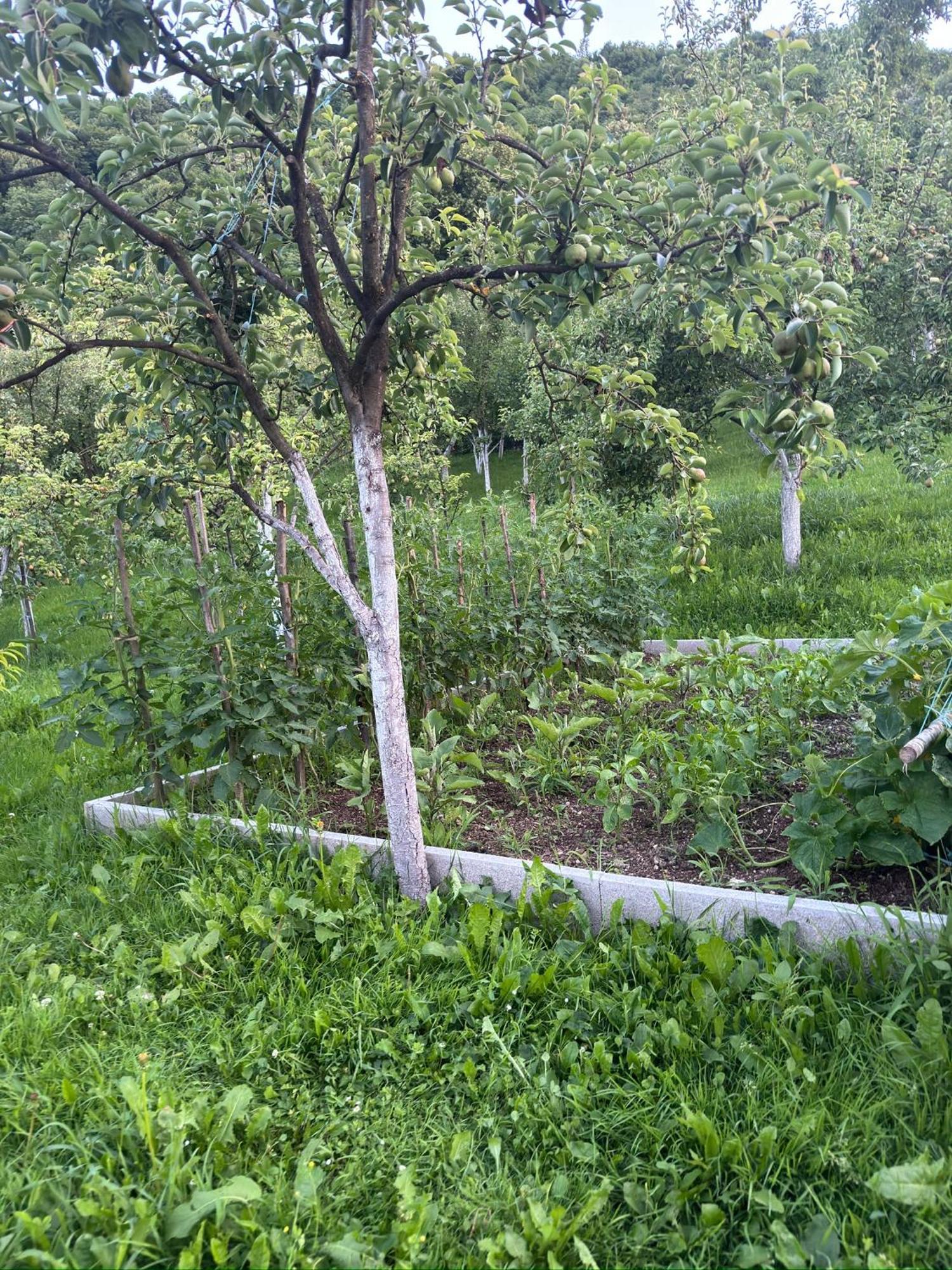 Villa Resting House Oaza Bihać Esterno foto